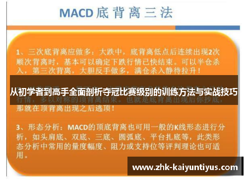 从初学者到高手全面剖析夺冠比赛级别的训练方法与实战技巧