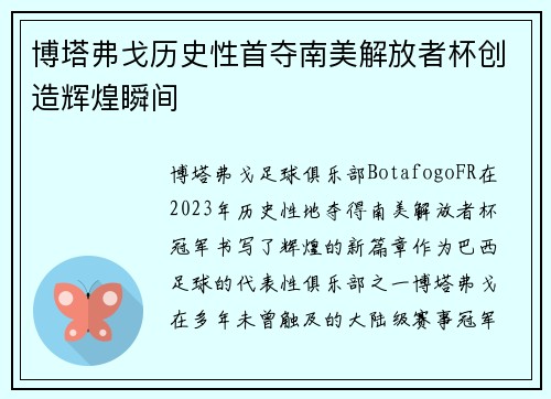博塔弗戈历史性首夺南美解放者杯创造辉煌瞬间 博塔弗戈历史性首夺南美解放者杯创造辉煌瞬间