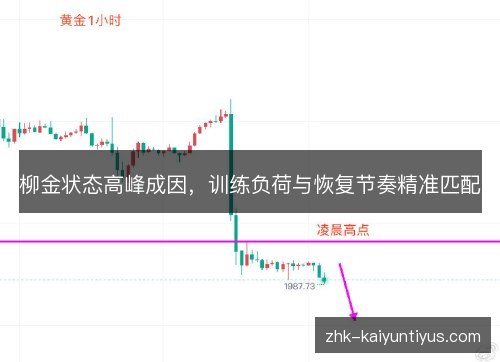 柳金状态高峰成因,训练负荷与恢复节奏精准匹配 柳金状态高峰成因,训练负荷与恢复节奏精准匹配
